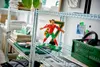 Éditions LEGO Cristiano Ronaldo Légende du Football 43016 Voir les images du produit 13