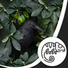 Odpudzovač vtákov | 35 cm | ochrana pred vtákmi | strašiak Náhľad obrázku produktu 8