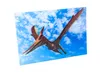 3 D Ansichtskarte Dinosaurier Pteranodon, Postkarte Produktbild-Vorschau 2