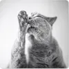MuchoWow® Mauspad Mousepad Katze leckt ihre Pfote 23x19 cm Produktbild-Vorschau 1