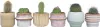 Małe kaktusy - 6 szt - Cactus - Wysokość 5-10cm - ⌀5,5cm Podgląd zdjęcia produktu 6