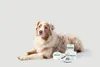 LIZOVET Hautpflegebalsam für Tiere, hautschützend, Produktbild-Vorschau 5
