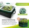 BioGreen Beheizter Anzuchtkasten "Hollandia" mit den Maßen Produktbild-Vorschau 4