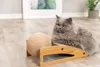 TRIXIE Kratzrampe mit Ball - diverse - 43 × 17 × 20 cm Produktbild-Vorschau 3