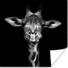 MuchoWow® Poster Giraffe - Porträt - Tiere - Schwarz - Weiß Produktbild-Vorschau 1
