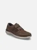 JOSEF SEIBEL Anvers 85 | Halbschuh für Herren | Braun Produktbild-Vorschau 16