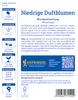 Kiepenkerl Blumensamen Niedrige Duftblumen 2 - 4 m² Produktbild-Vorschau 2