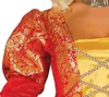 Close-up of a costume sleeve and bodice. Produktbild-Vorschau