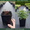 Stauden Gänge 1 x Astilbe japonica 'Deutschland' im 0,5 Produktbild-Vorschau 5