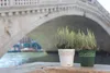Two potted plants are placed on a stone ledge in front of a bridge and a canal. Produktbild-Vorschau