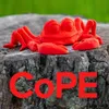 Polymaker Panchroma™ CoPe Red 1,75 mm 1KG Anteprima dell’immagine prodotto 4