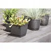 Ratolla runder Blumentopf mit Sockel 22x19,5cm umbra Produktbild-Vorschau 3