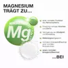 Magnesium 375 mg Brausetabletten 24x 20 Stück Zitrone – Produktbild-Vorschau 10