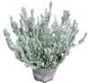 Knospenheide Gardengirls® 'Fluffy' FloraSelf Ø 11 cm Topf Produktbild-Vorschau 2