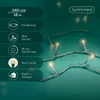 Kaemingk Lumineo LED-Lichterkette Basic mit Dimmer 240 LED Produktbild-Vorschau 10