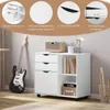 WOLTU Rollcontainer, Aktenschrank mit 3 Schubladen, 5 Produktbild-Vorschau 6