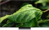 Samsung GQ83S94DAEXZG 83' 4K OLED TV mit Smart-Funktionen Produktbild-Vorschau 2