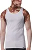 Herren Tank Top 2er Pack Shirt Multipack von der Marke Produktbild-Vorschau 6
