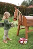 Set de soins pour chevaux avec sac rouge Voir les images du produit 4