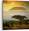 Bild auf Leinwand - Leinwandbild - Safari Tierwelt Berg Produktbild-Vorschau 1
