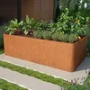 PRIMEYARD Cortenstahl Hochbeet Mario 200x107x60 cm, Produktbild-Vorschau 2