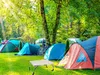 A campsite scene with multiple tents set up on a grassy area, with trees and sunlight in the background. A small folding table is in the foreground. Anteprima dell’immagine prodotto