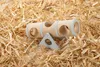 Beeztees Nager Spielzeug Clovis Holz mint 17 x 7,8 x 10 cm Produktbild-Vorschau 3