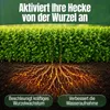 Heckenretter Heckendünger Dünger für grüne Hecken Turbo Produktbild-Vorschau 3