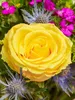 Blumenstrauß Von allem das Beste | Geschenk - frische Produktbild-Vorschau 4