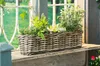 Rattan Pflanzkasten "Koboo Grey" 60 cm lang, grau, Produktbild-Vorschau 1