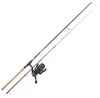 Balzer MK Adventure Aalpicker Combo, 2,75m , 40-120g Produktbild-Vorschau 4