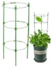 Podpora pierścieniowa do roślin kwiatów 60 cm stelaż Podgląd zdjęcia produktu 6