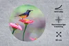 MuchoWow® Mauspad Mousepad Nahaufnahme eines Kolibris auf Produktbild-Vorschau 2