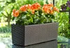 LAMELA spolka z organiczona odpowiedź. Truhlík rattan Anteprima dell’immagine prodotto 2