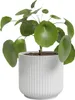 Artevasi Luna Pot, Weiß, 0,25 l, 75 mm, 65 mm, 18 Stück(e) Produktbild-Vorschau 3