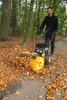 Texas Kehrmaschine Benzin Schneeräumer Laubsammler 60cm Produktbild-Vorschau 8