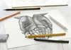 FABER-CASTELL Set de dessin au fusain Voir les images du produit 12