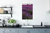 MuchoWow® Poster Sonnenuntergang beleuchtet Lavendelfeld in Produktbild-Vorschau 3