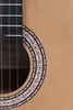 Prodipe Guitars LH Primera 4/4 Podgląd zdjęcia produktu 5