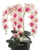 Künstliche Orchidee Cremerosa Kaskaden Blumenstrauß im Topf Produktbild-Vorschau 2