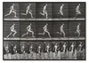 POSTER - 42x29 cm (A3) - Eadweard Muybridge - Tafel 60 aus Produktbild-Vorschau 1