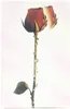 Zigaretten-Box - Motiv RED ROSE Produktbild-Vorschau 1