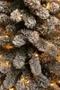 Black Box Trees Charlton Kerstboom met Warm Witte LED Productafbeelding-voorbeeld 11