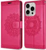 Hülle für iPhone 15 / 15 Pro / 15 Plus / 15 Pro Max Produktbild-Vorschau 6