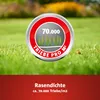 WOLF-Garten 3826040 Turbo lawn seed LR 100 1 pc(s) Náhľad obrázku produktu 4