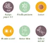 Green boutiQ - Plante de jardin - Nandina Twilight - Voir les images du produit 9
