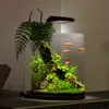 Zestaw akwariowy AquaArt Explorer 50 x 32 x 50 cm 60 l Podgląd zdjęcia produktu 5