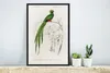 MuchoWow® MuchoWow® Gerahmtes Poster Vogel - Vintage - Produktbild-Vorschau 5