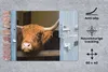 MuchoWow® Schreibtischunterlage Schottischer Highlander - Produktbild-Vorschau 2