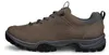 ECCO RECEPTOR TREKK Herren Trekkingschuhe Braun – Produktbild-Vorschau 7